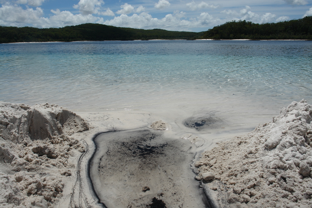 One of the most popular destinations on Fraser Island, Lake McKenzie can be visited on a one day trip.