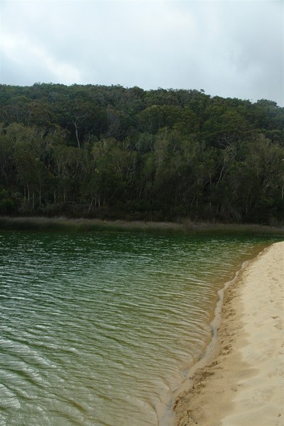 Lake Wabby, emerald green in colour is unique to Fraser Island.