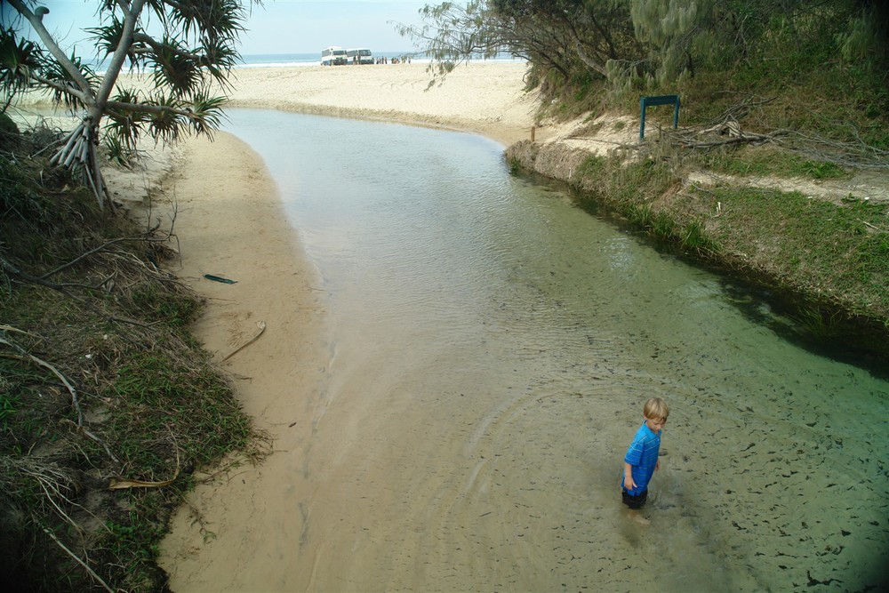 The largest of freshwater creeks flowing into the Pacific Ocean is Eli Creek - excellent spot for a cool water dip.
